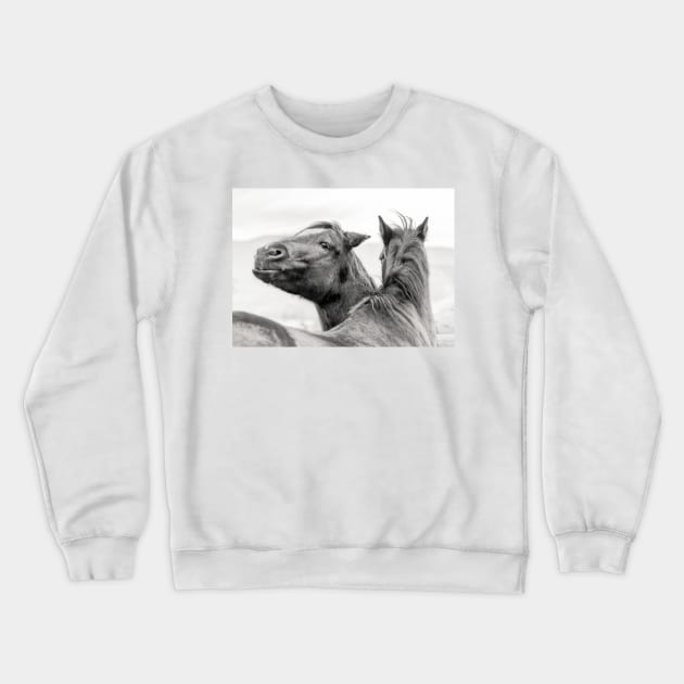 Funny Smiling Ranch Horse Crewneck Sweatshirt by Amy-K-Mitchell